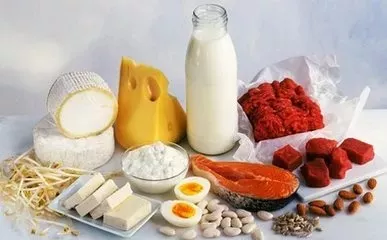 蛋白质营养
